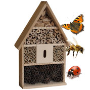 Caja de Insectos - Red Cedar - Caillard